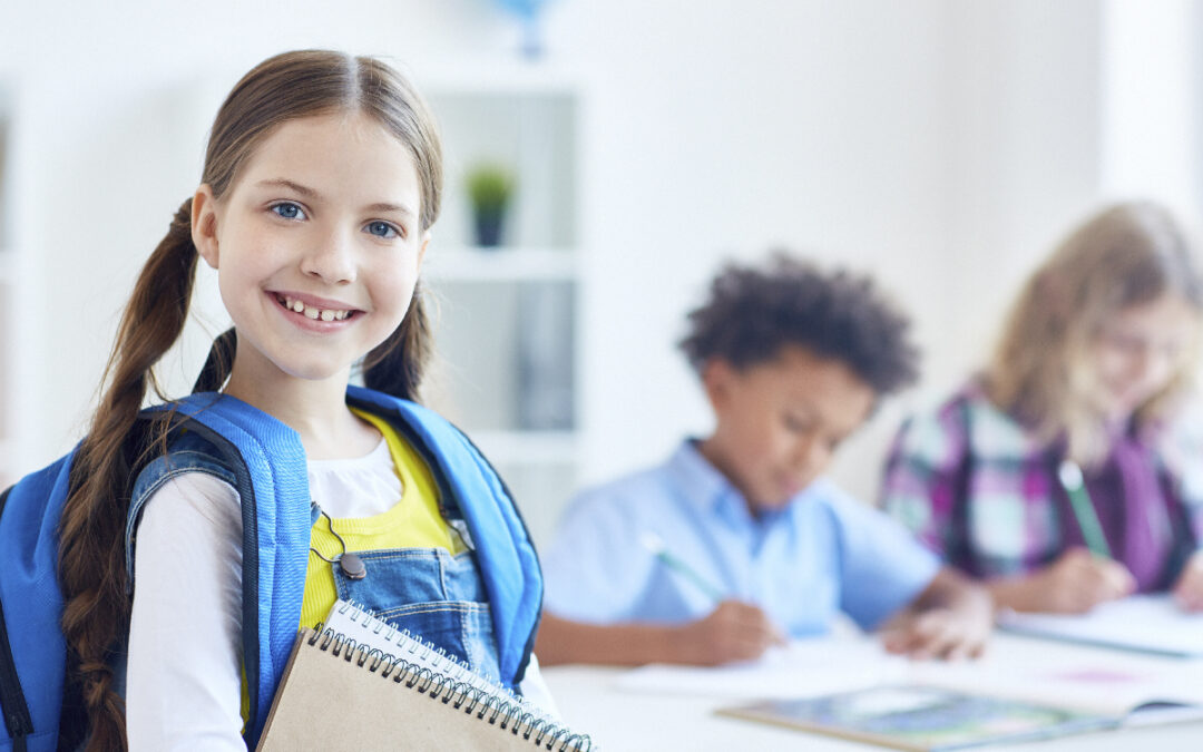 Controle de acesso e segurança nas escolas