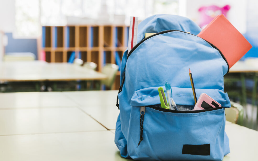 A importância atual do controle de acesso e a segurança nas escolas